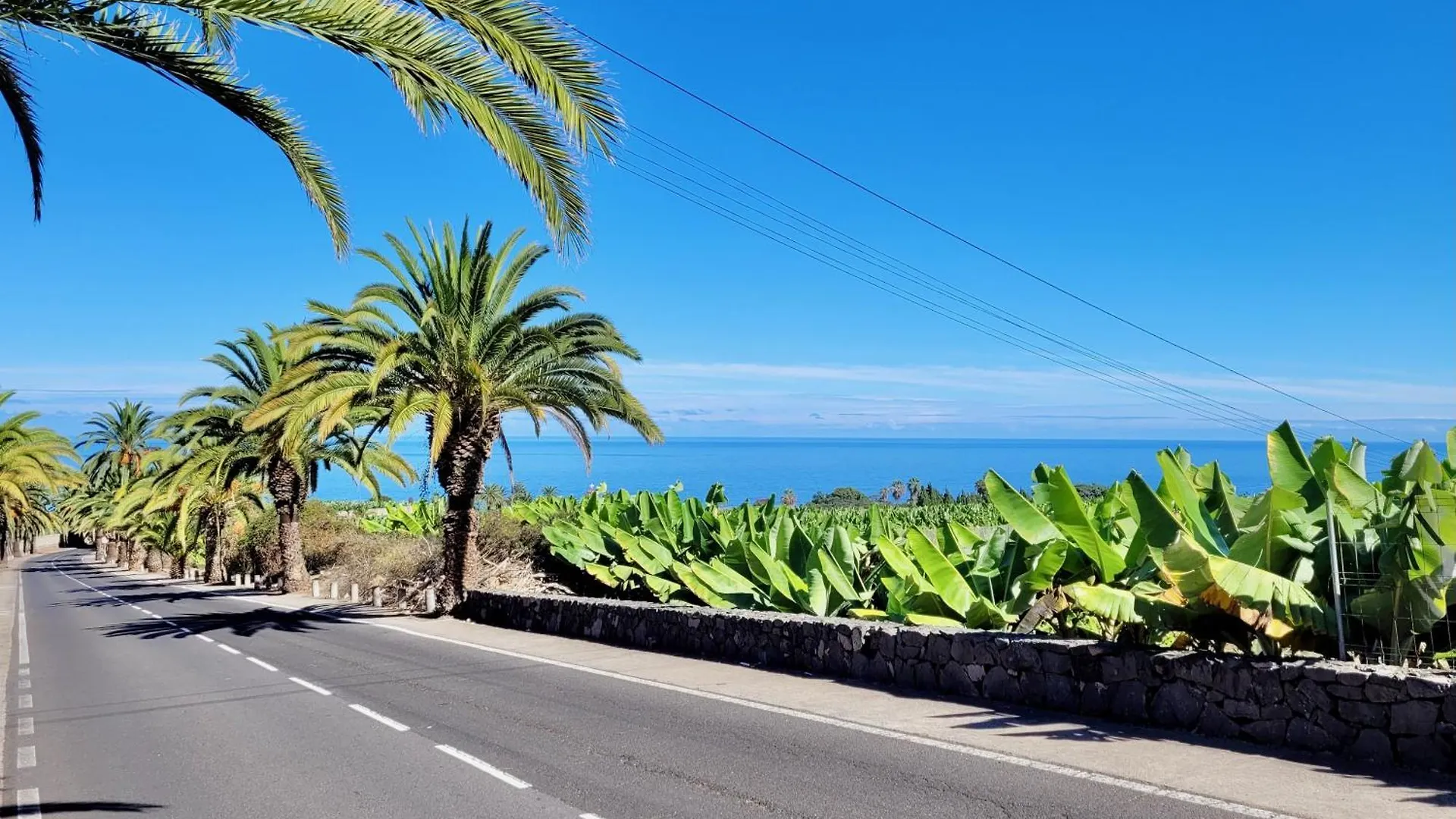 Casa Rural - Playa. Situada En Un Entorno Natural. La Orotava Daire
